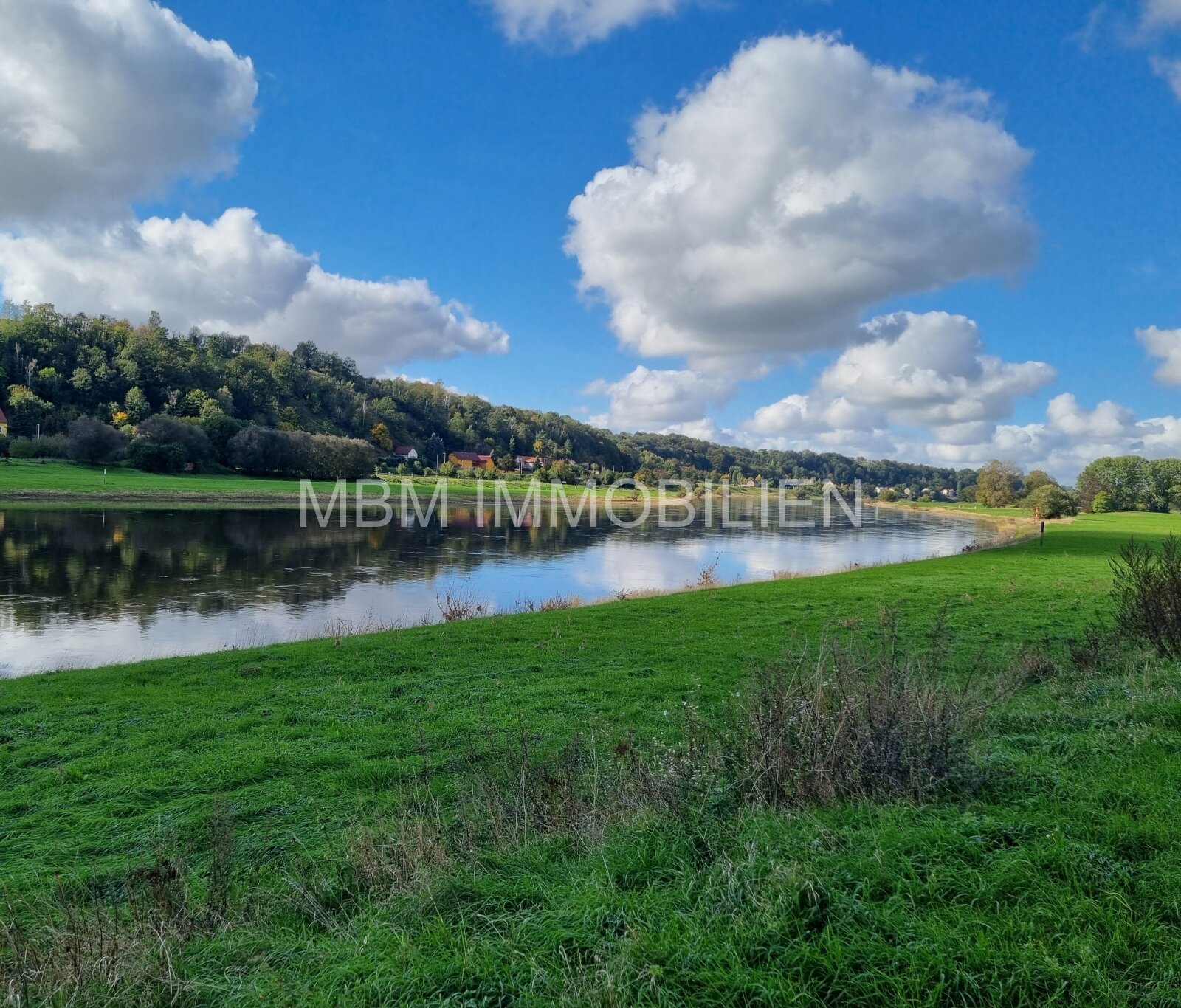 Traumhafter Blick zur Elbe