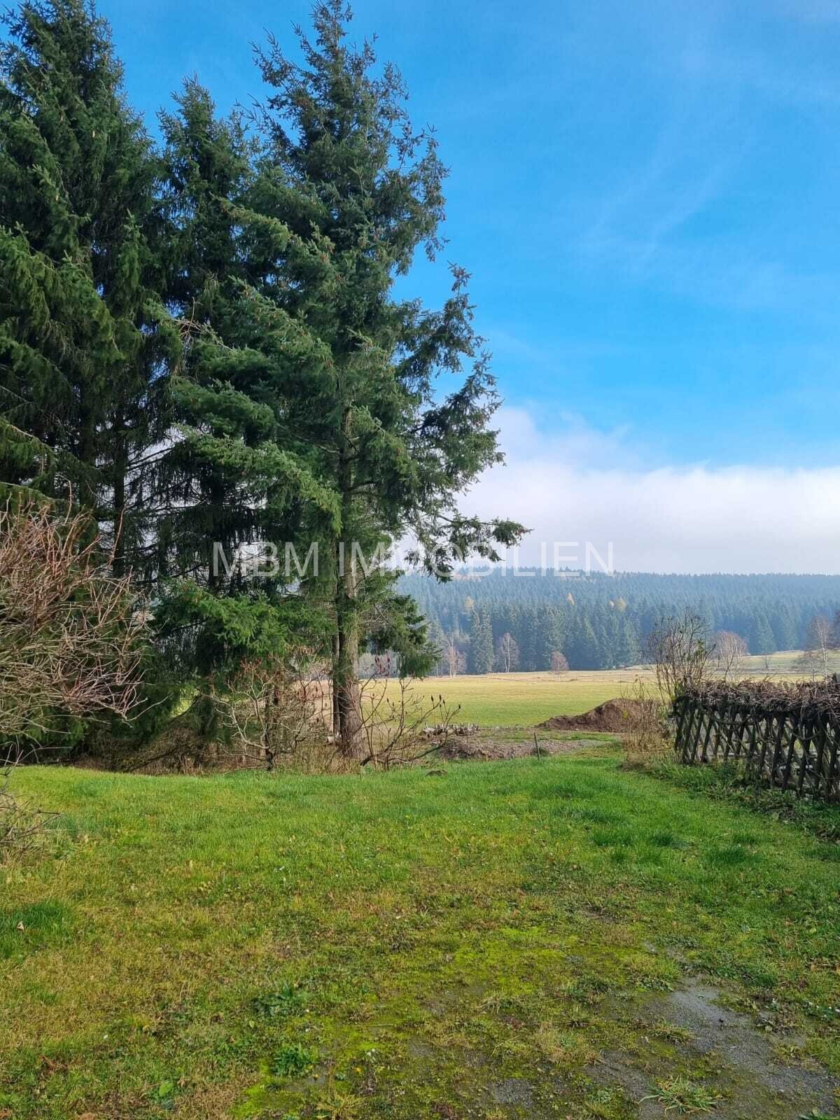 Wer die Ruhe liebt, ist hier genau richtig – Wunderschönes Grundstück mit unverbaubarem Blick in Altenberg Wer die Ruhe liebt, ist hier genau richtig – Wunderschönes Grundstück mit unverbaubarem Blick in Altenberg